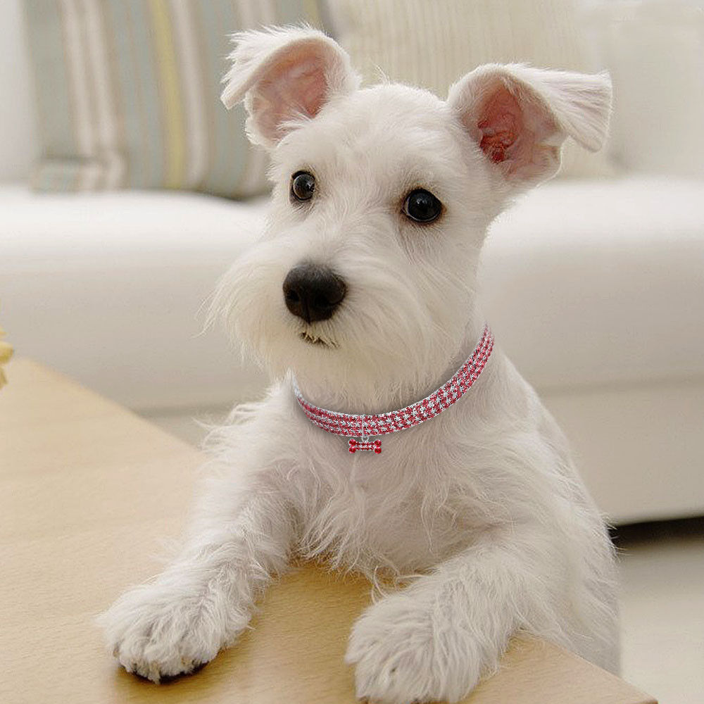 “Glamorous Bling Collars for Small Dogs and Cats - Doggy-Dog world